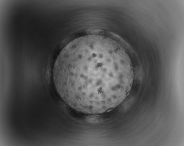 X0000087610761200705181255