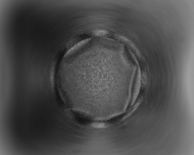 X0000087610762200705181255