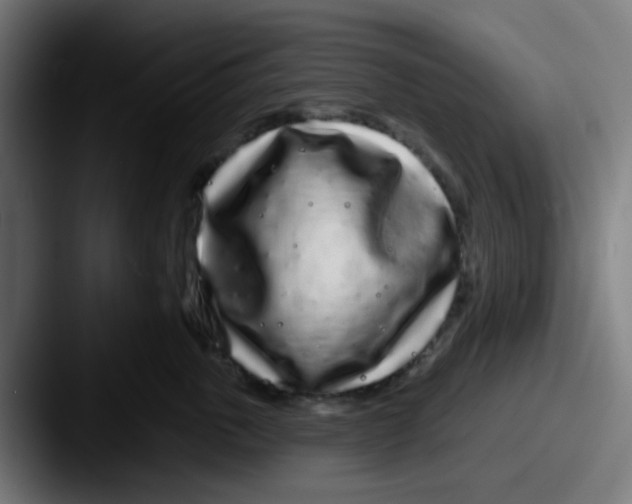 X0000087610763200705181255