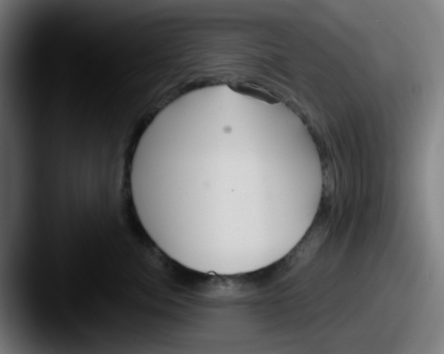 X0000087610764200705181255