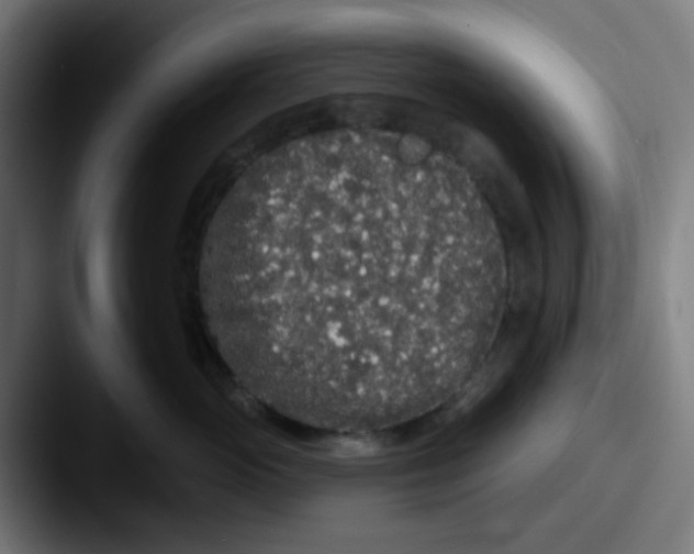 X0000087610765200705181255