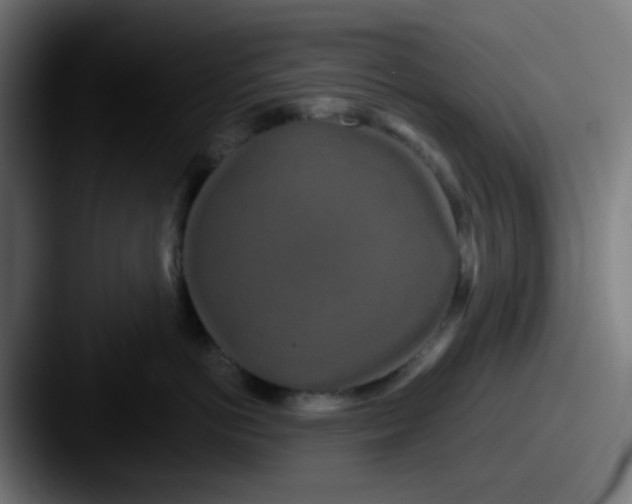 X0000087610766200705181255