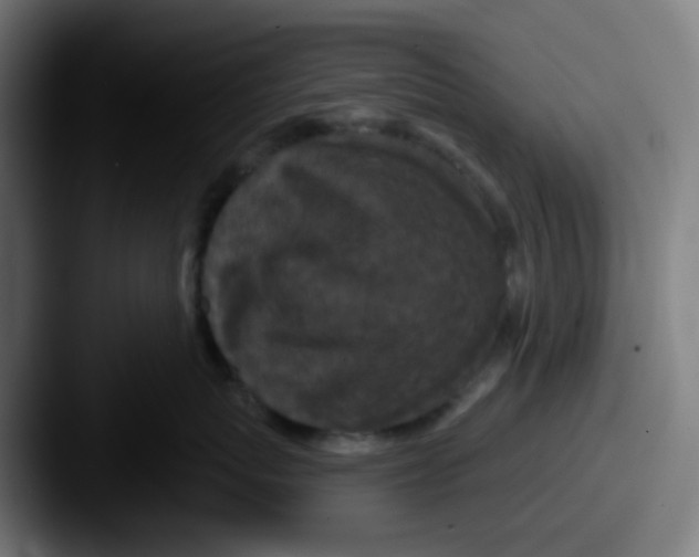 X0000087610767200705181255