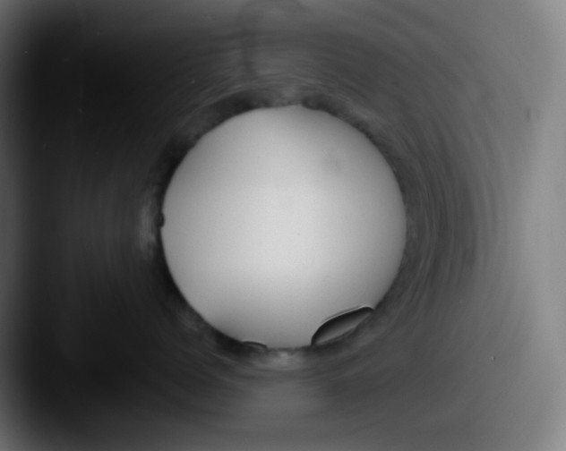 X0000087610768200705181255