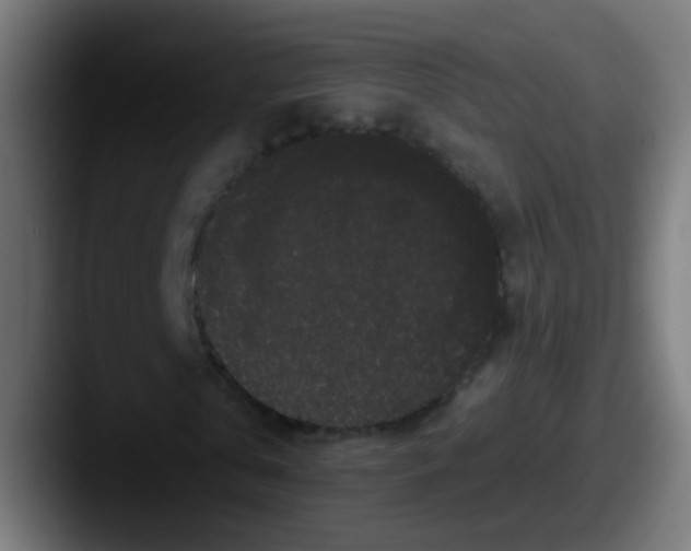 X0000087610769200705181254