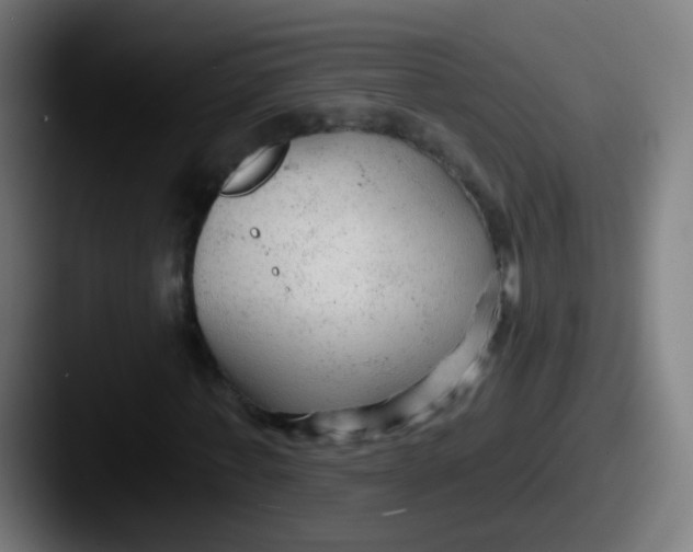 X0000087610771200705181254