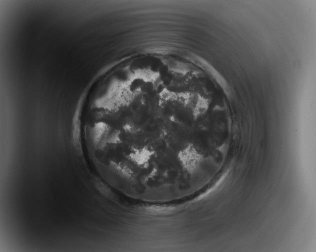 X0000087610779200705181254