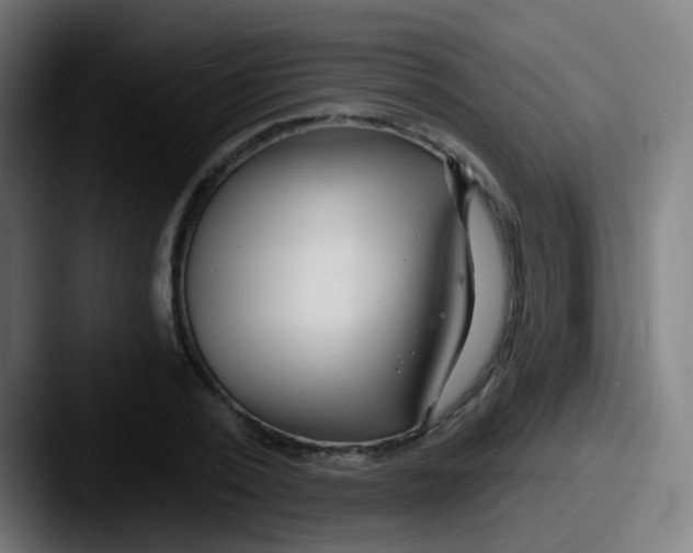 X0000087610784200705181254