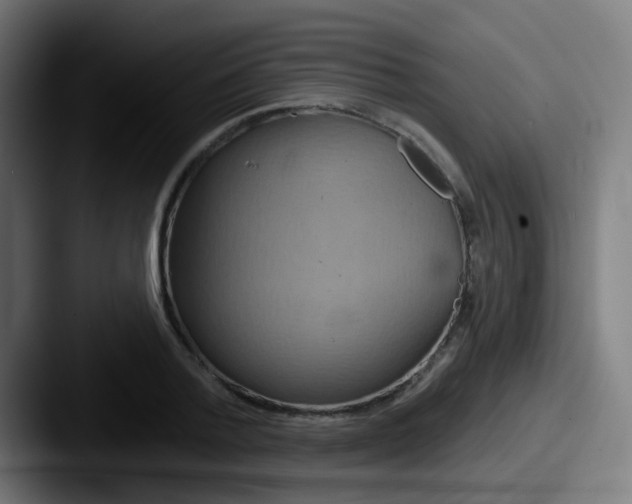 X0000087610788200705181254