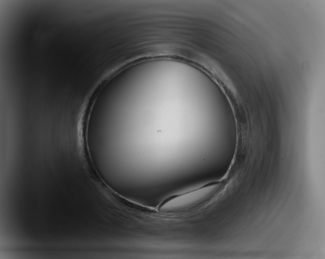 X0000087610789200705181254