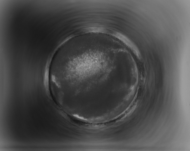 X0000087610790200705181254