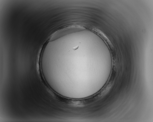 X0000087610794200705181254