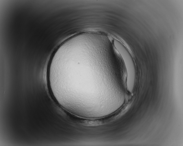 X0000087610795200705181254