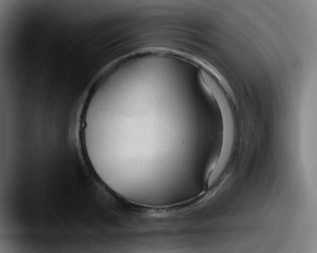 X0000087610799200705181254