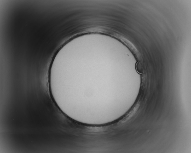 X0000087610800200705181254