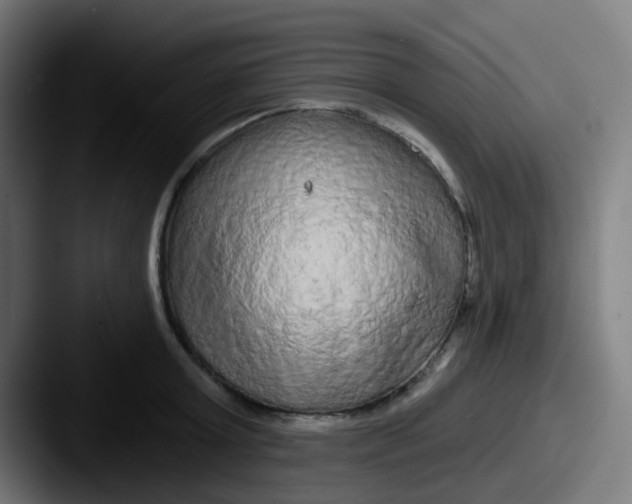 X0000087610803200705181254