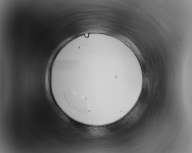 X0000087610804200705181254