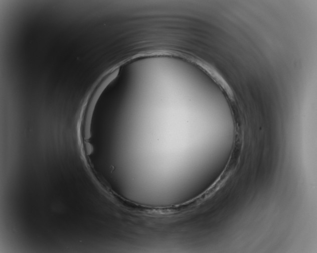 X0000087610805200705181254