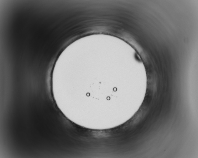 X0000087610807200705181254