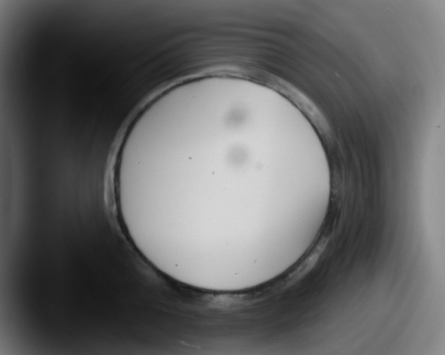 X0000087610808200705181254