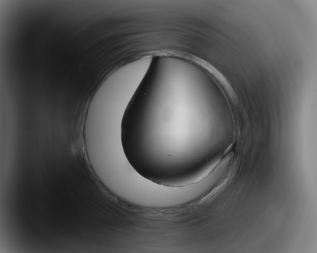 X0000087610809200705181254