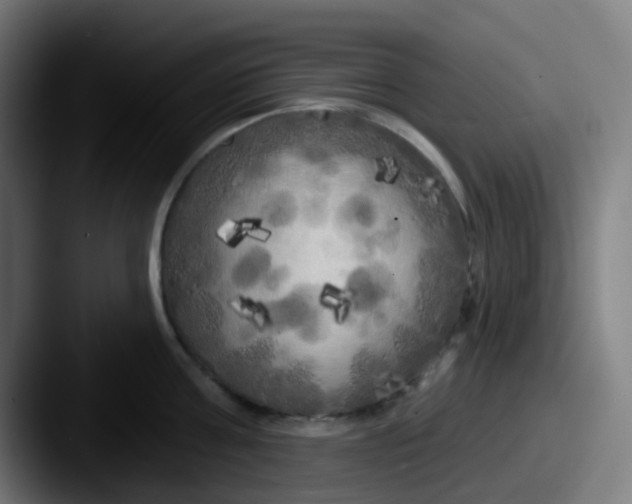 X0000087610811200705181254