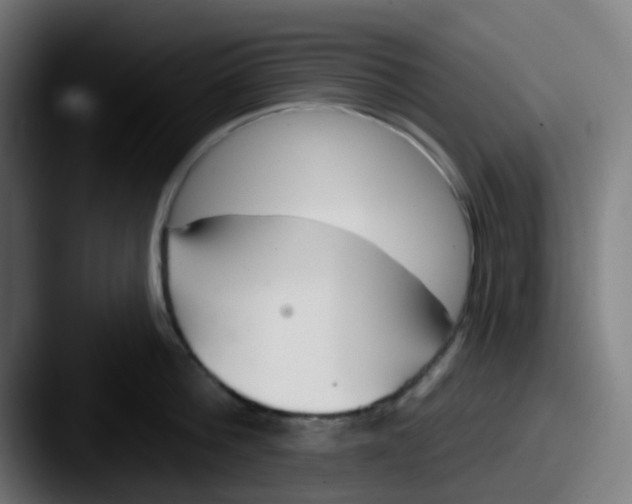 X0000087610812200705181254