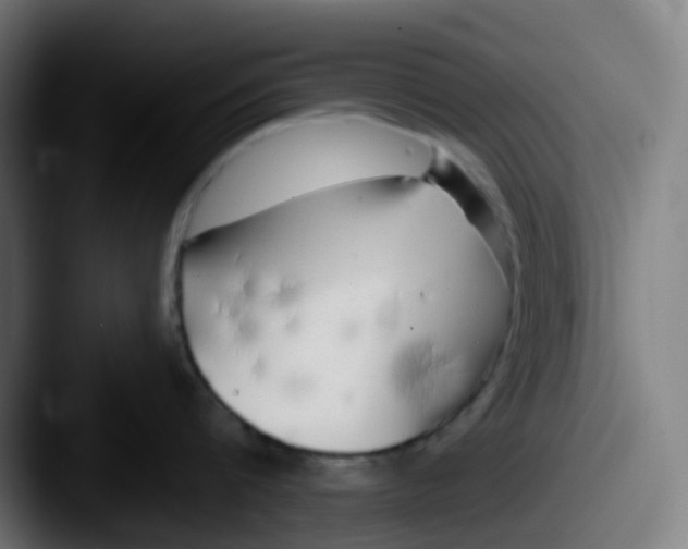 X0000087610816200705181254