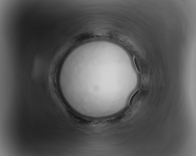 X0000087610817200705181253