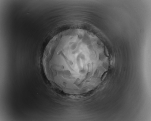 X0000087610819200705181253