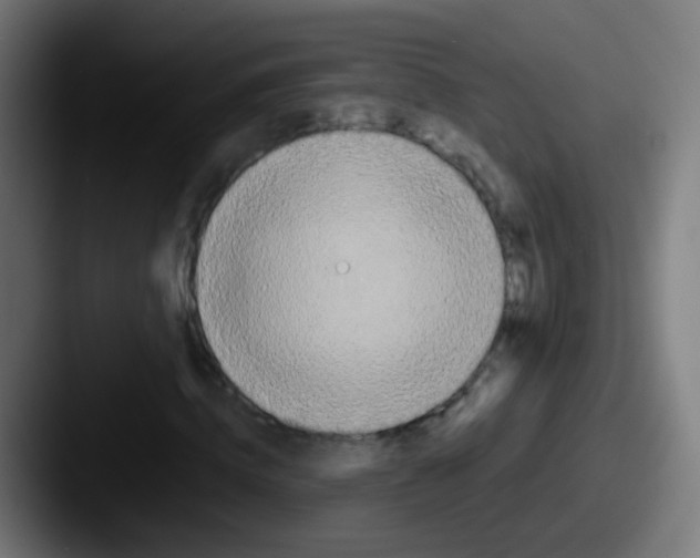 X0000087610820200705181253