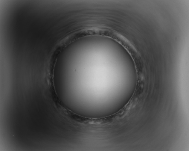 X0000087610822200705181253