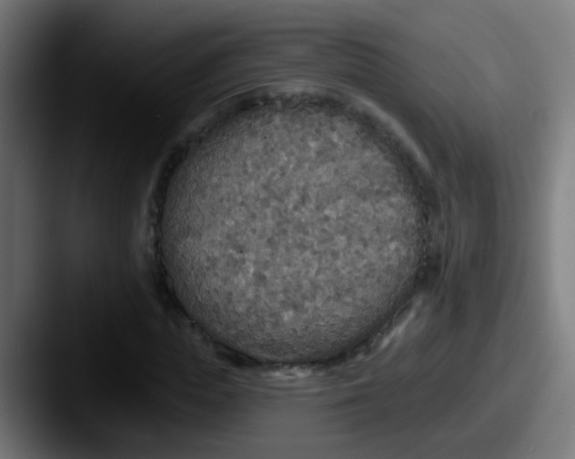 X0000087610823200705181253