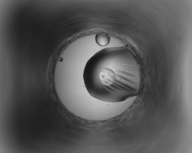 X0000087610824200705181253