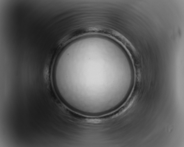 X0000087610825200705181253