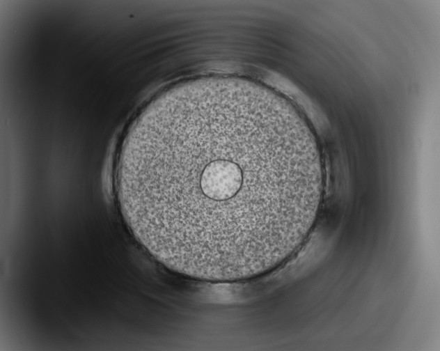 X0000087610828200705181253