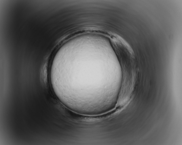 X0000087610829200705181253