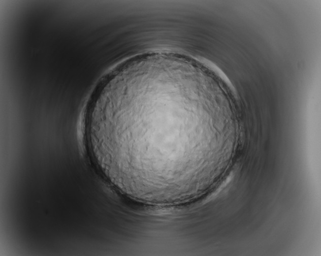 X0000087610831200705181253