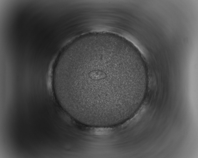 X0000087610832200705181253