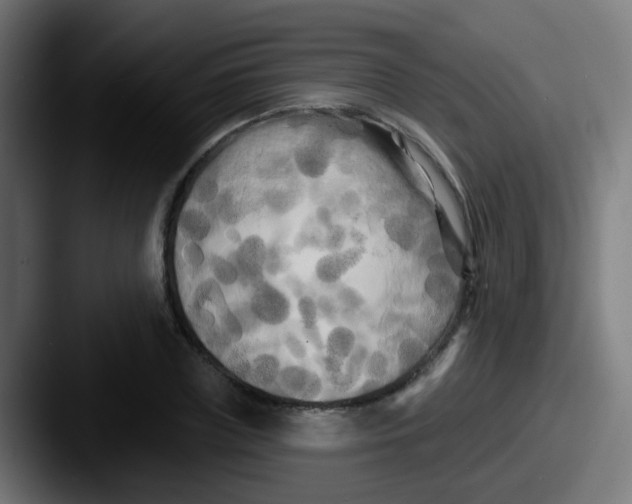 X0000087610835200705181253