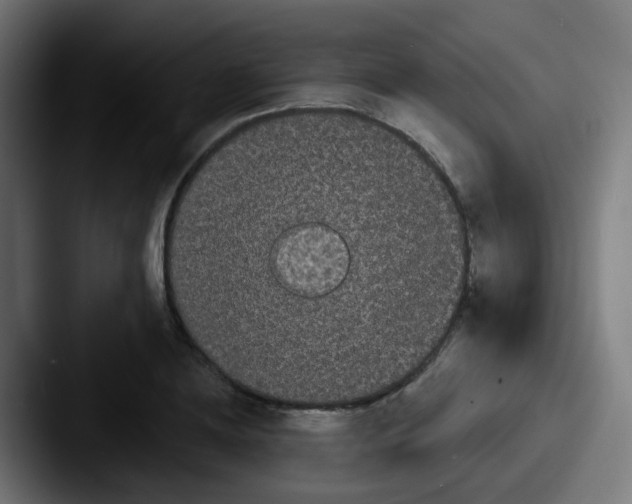 X0000087610836200705181253