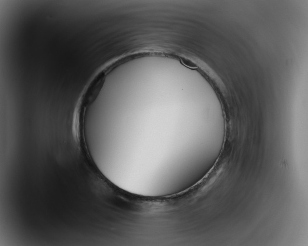 X0000087610838200705181253