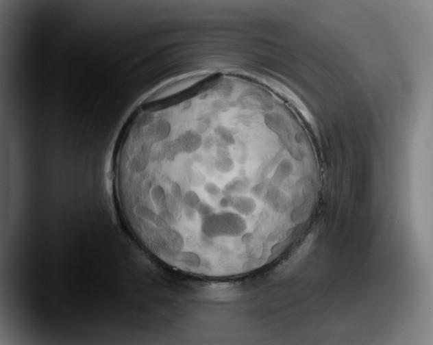 X0000087610839200705181254