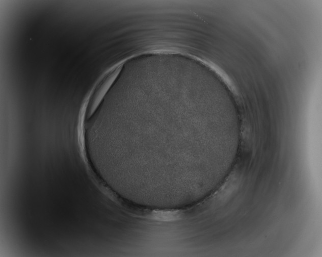 X0000087610840200705181254