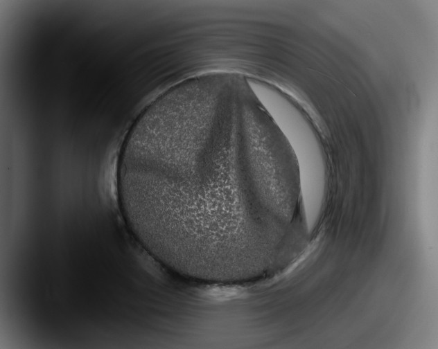 X0000087610842200705181254