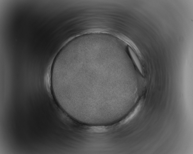 X0000087610844200705181254