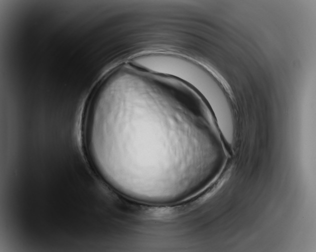 X0000087610845200705181254