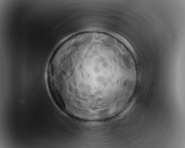 X0000087610847200705181254