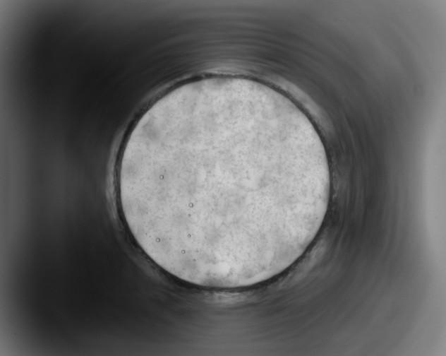 X0000087610848200705181254