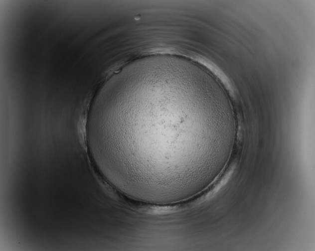 X0000087610849200705181254